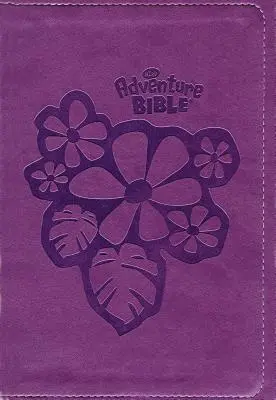 Biblia przygodowa dla początkujących czytelników-NIRV - Adventure Bible for Early Readers-NIRV