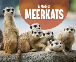 Tłum surykatek - Mob of Meerkats