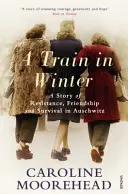 Pociąg w zimie - opowieść o oporze, przyjaźni i przetrwaniu w Auschwitz - Train in Winter - A Story of Resistance, Friendship and Survival in Auschwitz