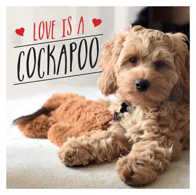 Love Is a Cockapoo: Psie święto najsłodszej rasy na świecie - Love Is a Cockapoo: A Dog-Tastic Celebration of the World's Cutest Breed