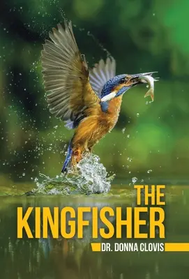 Zimorodek - The Kingfisher