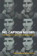 Podpis nie jest potrzebny: Ikoniczne fotografie, kultura publiczna i liberalna demokracja - No Caption Needed: Iconic Photographs, Public Culture, and Liberal Democracy