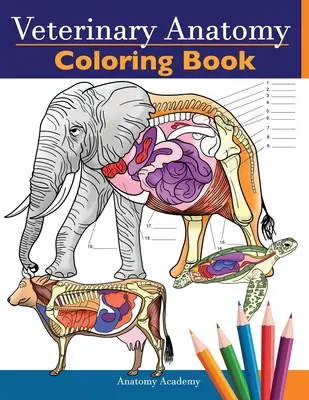 Kolorowanka z anatomią weterynaryjną: Animals Physiology Self-Quiz Color Workbook for Studying and Relaxation Idealny prezent dla studentów weterynarii, a nawet dorosłych - Veterinary Anatomy Coloring Book: Animals Physiology Self-Quiz Color Workbook for Studying and Relaxation Perfect gift For Vet Students and even Adult