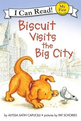 Biszkopt odwiedza wielkie miasto - Biscuit Visits the Big City