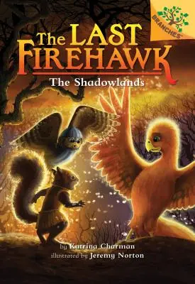 The Shadowlands: Księga Oddziałów (Ostatni Firehawk #5) (wydanie biblioteczne), 5 - The Shadowlands: A Branches Book (the Last Firehawk #5) (Library Edition), 5