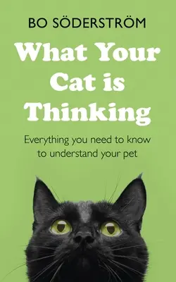 Co myśli twój kot: Wszystko, co musisz wiedzieć, aby zrozumieć swojego zwierzaka - What Your Cat Is Thinking: Everything You Need to Know to Understand Your Pet