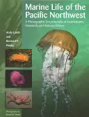 Życie morskie północno-zachodniego Pacyfiku: Fotograficzna encyklopedia bezkręgowców, wodorostów i wybranych ryb - Marine Life of the Pacific Northwest: A Photographic Encyclopedia of Invertebrates, Seaweeds and Selected Fishes