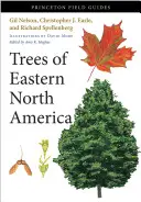 Drzewa wschodniej części Ameryki Północnej - Trees of Eastern North America