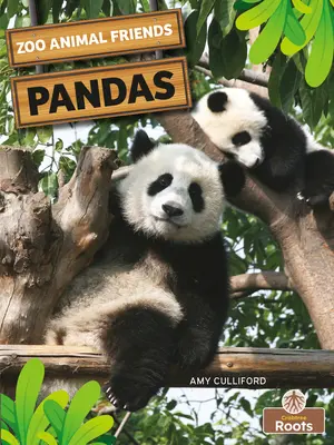 Pandy - Pandas