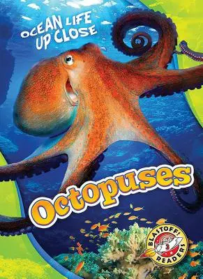 Ośmiornice - Octopuses