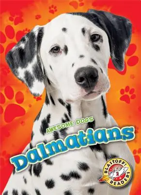 Dalmatyńczyki - Dalmatians