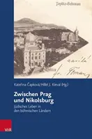 Zwischen Prag Und Nikolsburg: Judisches Leben in Den Bohmischen Landern