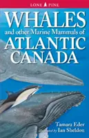 Wieloryby i inne ssaki morskie atlantyckiej Kanady - Whales and Other Marine Mammals of Atlantic Canada