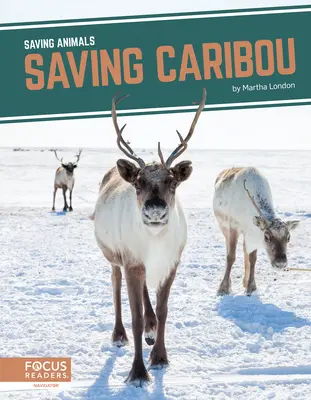 Ratowanie karibu - Saving Caribou