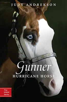 Gunner: Koń huragan - Gunner: Hurricane Horse