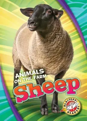 Owce - Sheep