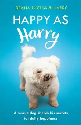 Szczęśliwy jak Harry: Pies ratownik dzieli się sekretami codziennego szczęścia - Happy as Harry: A Rescue Dog Shares His Secrets for Daily Happiness
