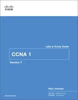 Wprowadzenie do sieci - laboratoria i przewodnik do nauki (Ccnav7) - Introduction to Networks Labs and Study Guide (Ccnav7)