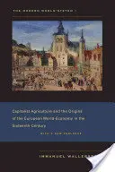 Współczesny system światowy I: Kapitalistyczne rolnictwo i początki europejskiej gospodarki światowej w XVI wieku - The Modern World-System I: Capitalist Agriculture and the Origins of the European World-Economy in the Sixteenth Century