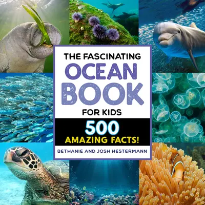 Fascynująca książka o oceanie dla dzieci: 500 niesamowitych faktów! - The Fascinating Ocean Book for Kids: 500 Incredible Facts!