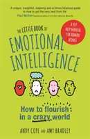 Mała księga inteligencji emocjonalnej: Jak prosperować w szalonym świecie - The Little Book of Emotional Intelligence: How to Flourish in a Crazy World