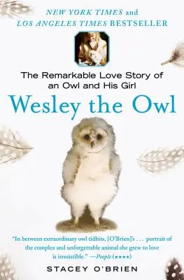 Wesley the Owl: Niezwykła historia miłości sowy i jej dziewczyny