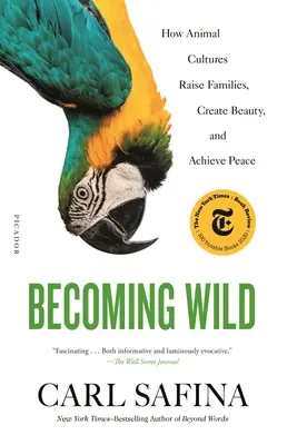 Becoming Wild: Jak kultury zwierząt wychowują rodziny, tworzą piękno i osiągają pokój - Becoming Wild: How Animal Cultures Raise Families, Create Beauty, and Achieve Peace