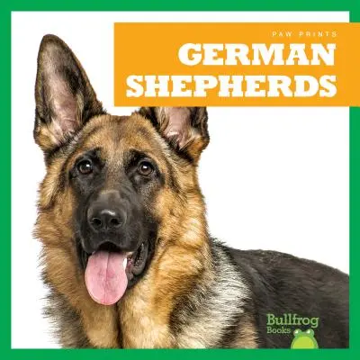 Owczarki niemieckie - German Shepherds