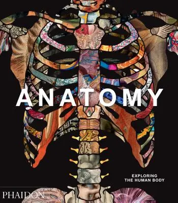 Anatomia: Odkrywanie ludzkiego ciała - Anatomy: Exploring the Human Body