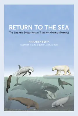 Powrót do morza: Życie i czasy ewolucji ssaków morskich - Return to the Sea: The Life and Evolutionary Times of Marine Mammals