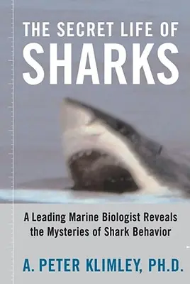 Sekretne życie rekinów: Czołowy biolog morski ujawnia tajemnice zachowania rekinów - The Secret Life of Sharks: A Leading Marine Biologist Reveals the Mysteries of Shark Behavior