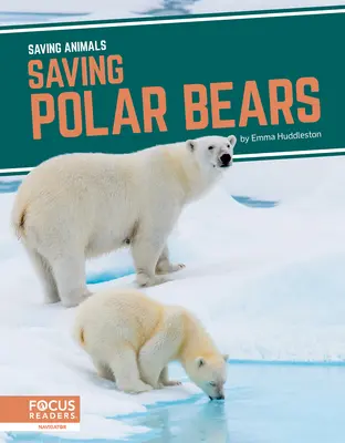 Ratowanie niedźwiedzi polarnych - Saving Polar Bears