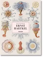 Sztuka i nauka Ernsta Haeckela - The Art and Science of Ernst Haeckel