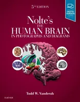 Ludzki mózg w fotografiach i diagramach Noltego - Nolte's the Human Brain in Photographs and Diagrams