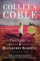 Zmierzch w Blueberry Barrens - Twilight at Blueberry Barrens