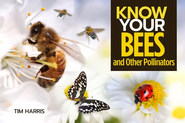 Poznaj swoje zapylacze - Know Your Pollinators