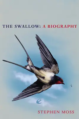 The Swallow: Biografia - The Swallow: A Biography