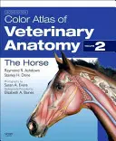 Kolorowy atlas anatomii weterynaryjnej, tom 2, koń - Color Atlas of Veterinary Anatomy, Volume 2, the Horse