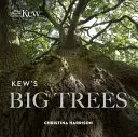 Wielkie drzewa Kew - Kew's Big Trees