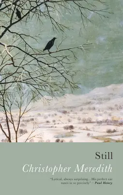 Wciąż - Still