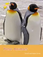 Zwierzęta polarne - Zestaw 4 - Polar Animals - Set 4