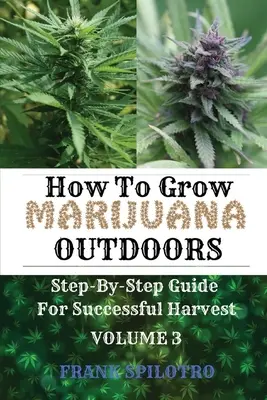 Jak uprawiać marihuanę na zewnątrz: Przewodnik krok po kroku dla udanych zbiorów - How to Grow Marijuana Outdoors: Step-By-Step Guide for Successful Harvest