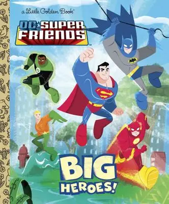 DC Super Friends: Wielcy bohaterowie! - DC Super Friends: Big Heroes!