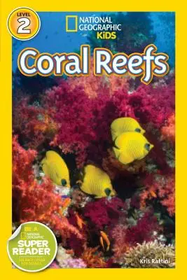 Rafy koralowe - Coral Reefs
