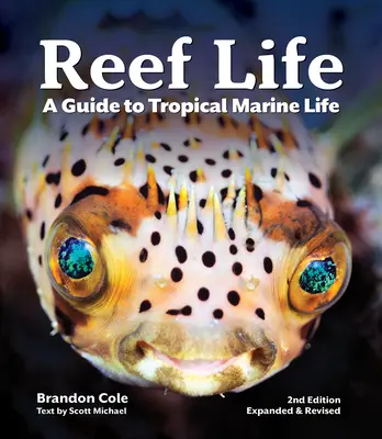 Życie na rafie: Przewodnik po tropikalnym życiu morskim - Reef Life: A Guide to Tropical Marine Life