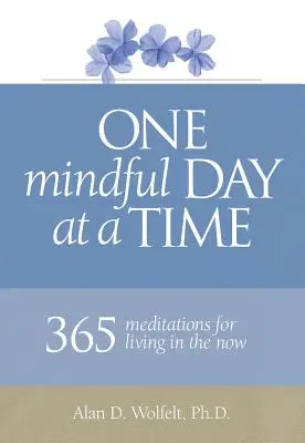 Jeden uważny dzień na raz: 365 medytacji na temat życia w chwili obecnej - One Mindful Day at a Time: 365 Meditations on Living in the Now