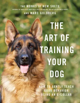 Sztuka tresury psa: jak delikatnie nauczyć psa dobrego zachowania za pomocą obroży elektronicznej - The Art of Training Your Dog: How to Gently Teach Good Behavior Using an E-Collar