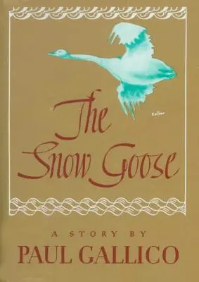 Gęś śnieżna - Snow Goose