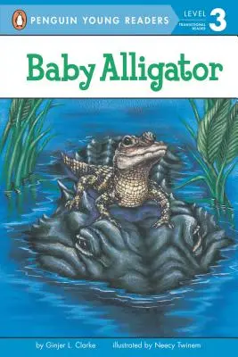 Mały aligator - Baby Alligator