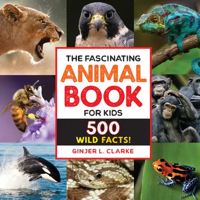 Fascynująca książka o zwierzętach dla dzieci: 500 dzikich faktów! - The Fascinating Animal Book for Kids: 500 Wild Facts!
